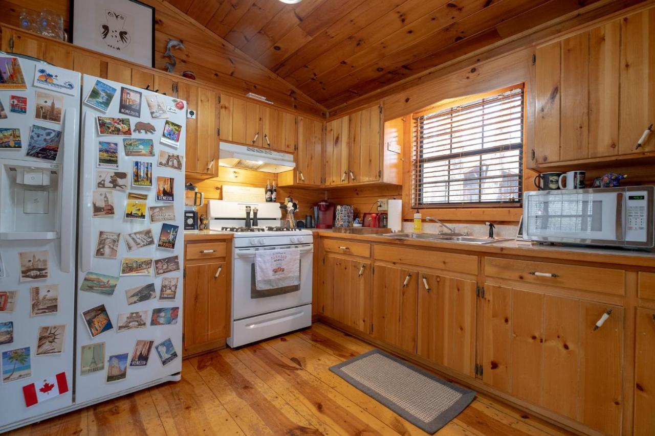 Three Dog Night - Pet-Friendly Cabin With Hot Tub Villa Blue Ridge Kültér fotó