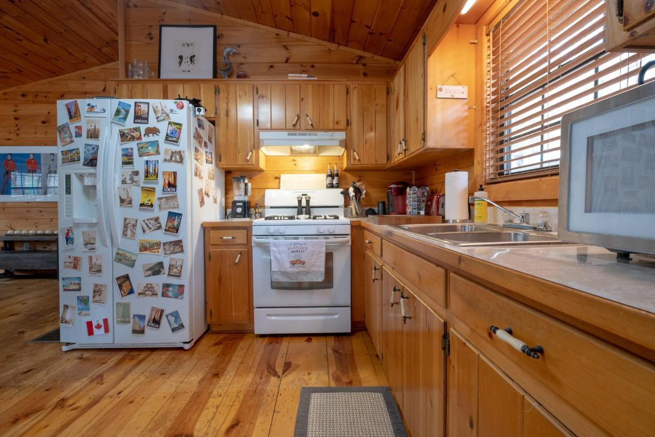 Three Dog Night - Pet-Friendly Cabin With Hot Tub Villa Blue Ridge Kültér fotó