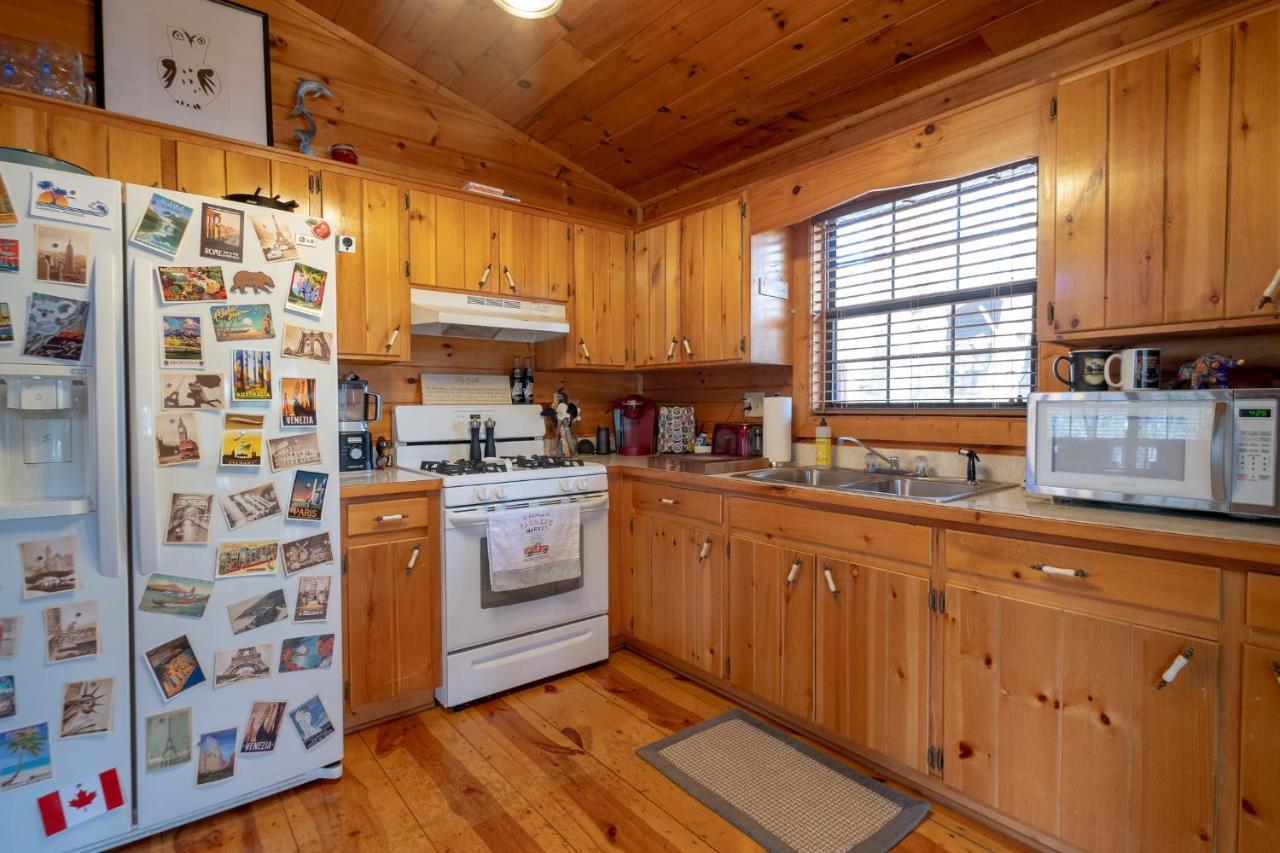Three Dog Night - Pet-Friendly Cabin With Hot Tub Villa Blue Ridge Kültér fotó