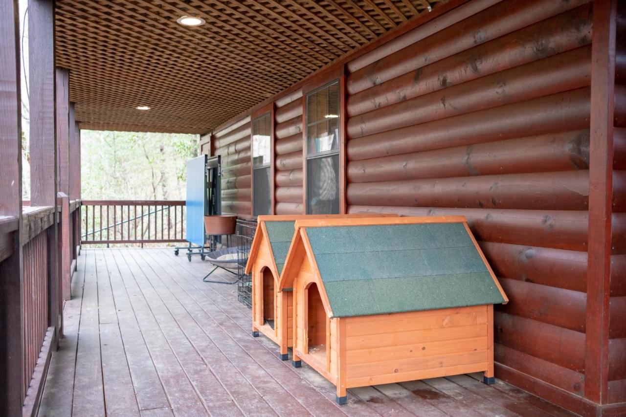 Three Dog Night - Pet-Friendly Cabin With Hot Tub Villa Blue Ridge Kültér fotó